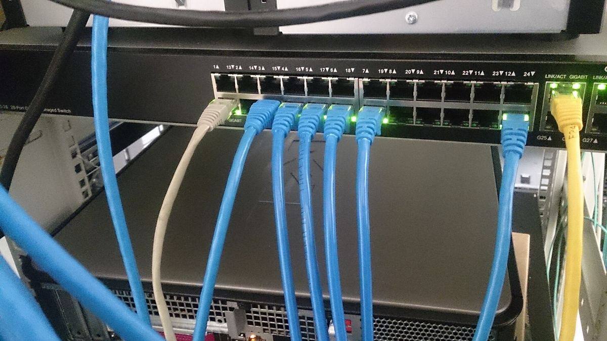 Network cables plugged into a switch